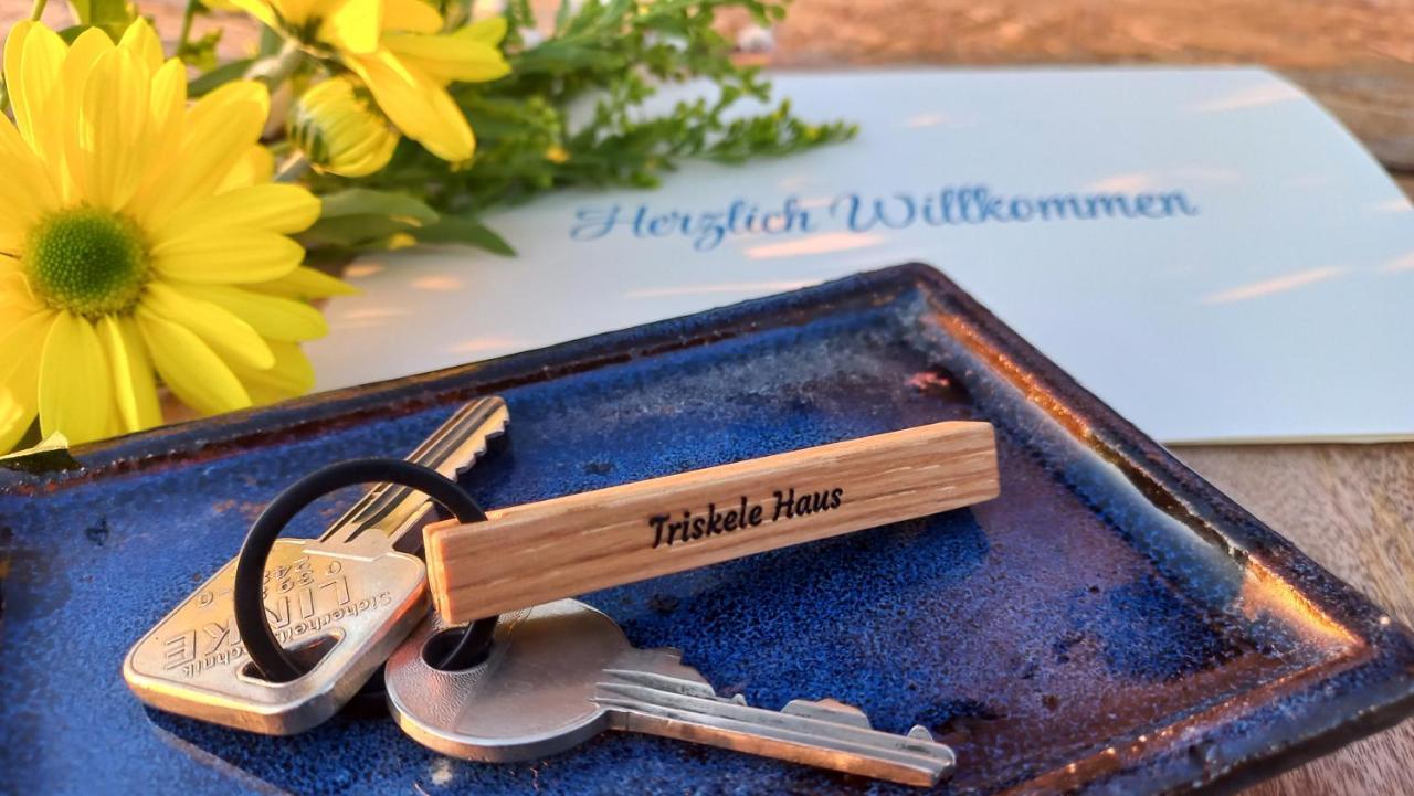Triskele Haus - Oekologisches Gaestehaus Der Heilstaette Strelitz Neustrelitz Ngoại thất bức ảnh