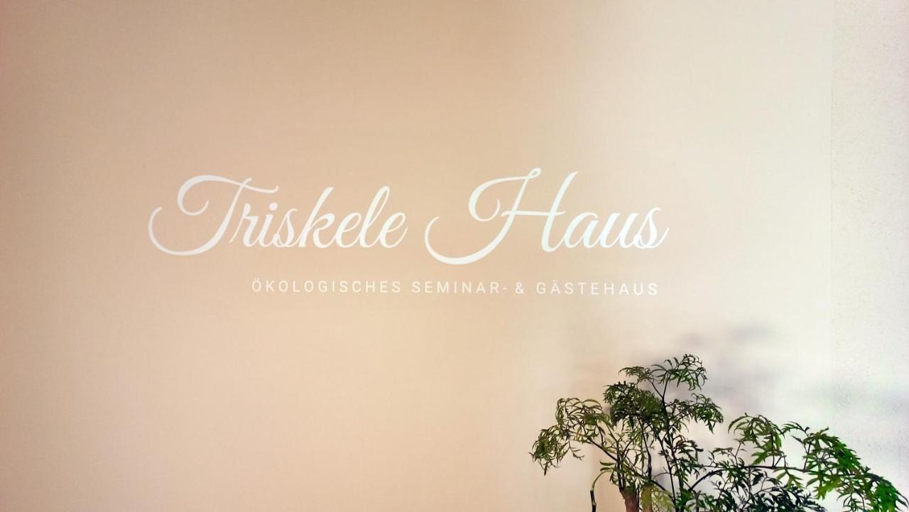 Triskele Haus - Oekologisches Gaestehaus Der Heilstaette Strelitz Neustrelitz Ngoại thất bức ảnh